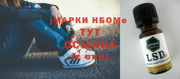 винт Гатчина