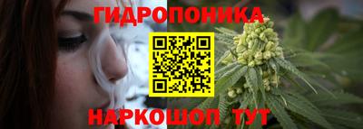 дживик Лесосибирск