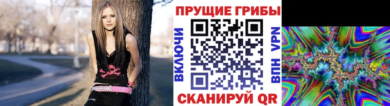 где продают   Курганинск  kraken как войти  Псилоцибиновые грибы прущие грибы 